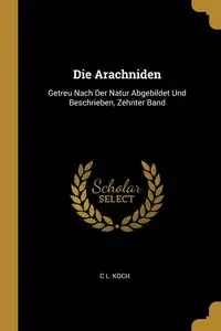 Die Arachniden - Koch C L.