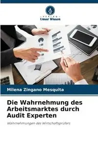 Die Wahrnehmung des Arbeitsmarktes durch Audit Experten - Milena Zingano Mesquita