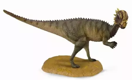 Dinozaur Pachycephalosaurus - Collecta