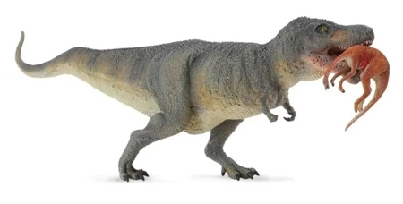 Dinozaur Tyrannosaurus Rex z ofiarą - Collecta