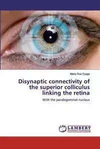 Disynaptic connectivity of the superior colliculus linking the retina - Maria Roa Oyaga