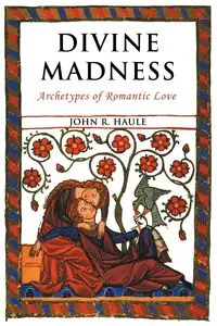 Divine Madness - Haule John R.