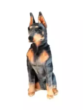 Doberman 66cm - Dubi