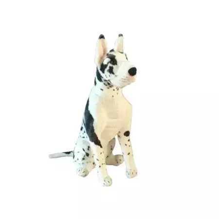 Dog niemiecki łaciaty siedzący 64cm - Dubi