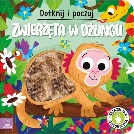 Dotknij i poczuj. Zwierzęta w dżungli - Grażyna Wasilewicz