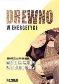 Drewno w energetyce - Mateusz Szubel, Wojciech Goryl