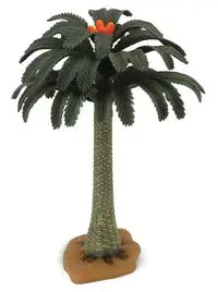 Drzewo Cycad - Collecta