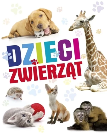 Dzieci zwierząt - praca zbiorowa