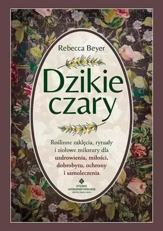 Dzikie czary - Rebecca Beyer