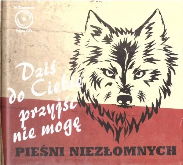 Dziś do ciebie przyjść nie mogę + CD - praca zbiorowa