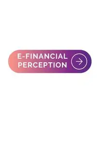 E-Financial Perception - louis Peter