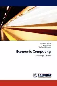 Economic Computing - Bashir Rizwana