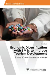 Economic Diversification with SMEs to improve Tourism Development - Brian Yerri