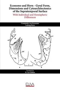 Economo and Horn - Gyral Form, Dimensions and Cytoarchitectonics of the Supratemporal Surface - Lee Seldon H.