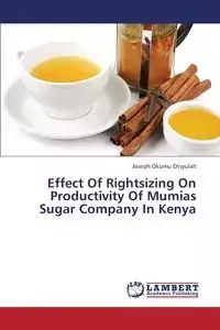 Effect of Rightsizing on Productivity of Mumias Sugar Company in Kenya - Joseph Otsyulah Okumu