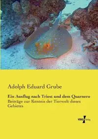 Ein Ausflug nach Triest und dem Quarnero - Adolph Grube Eduard