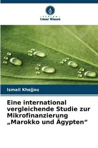 Eine international vergleichende Studie zur Mikrofinanzierung „Marokko und Ägypten" - Khejjou Ismail