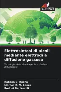 Elettrosintesi di alcoli mediante elettrodi a diffusione gassosa - S. Rocha Robson