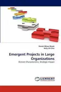 Emergent Projects in Large Organizations - Brook Henok Minas