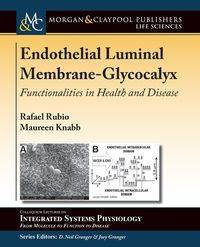 Endothelial Luminal Membrane-Glycocalyx - Rafael Rubio