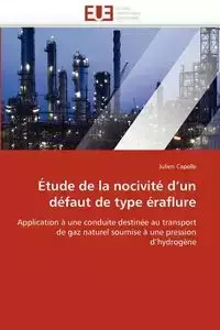 Étude de la nocivité d un défaut de type éraflure - CAPELLE-J