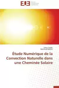 Étude numérique de la convection naturelle dans une cheminée solaire - Collectif