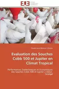 Evaluation des  souches cobb 500 et jupiter en climat tropical - BETENE A DOOKO-C