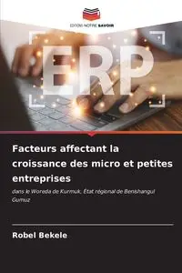 Facteurs affectant la croissance des micro et petites entreprises - Bekele Robel