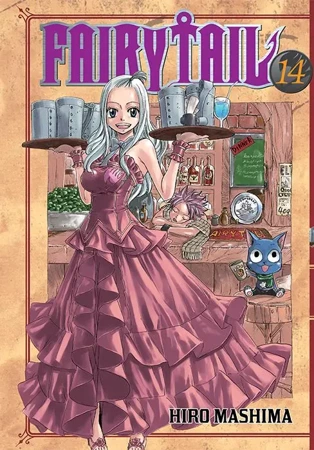 Fairy Tail. Tom 14 - Hiro Mashima