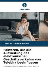 Faktoren, die die Ausweitung des elektronischen Geschäftsverkehrs von Telebirr beeinflussen - Gebremedehin Tesfaye