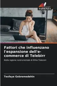 Fattori che influenzano l'espansione dell'e-commerce di Telebirr - Gebremedehin Tesfaye