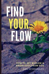 Find Your Flow - Dan Desmarques