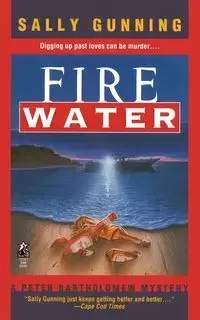Fire Water - Sally Gunning