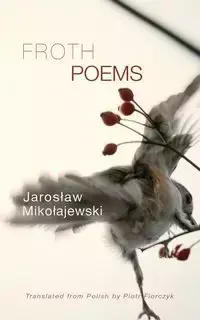 Froth - Jarosław Mikołajewski