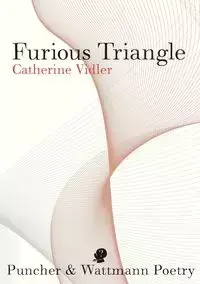 Furious Triangle - Catherine Vidler