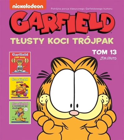 Garfield T.13 Tłusty koci trójpak - Jim Davis, Jim Davis, Piotr W. Cholewa