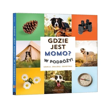 Gdzie jest Momo? W podróży! - Andrew Knapp