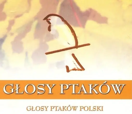 Głosy Ptaków vol.1 - Głosy Ptaków Polski (2CD) - praca zbiorowa