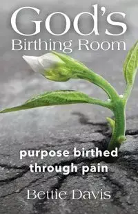 God's Birthing Room - Davis Bettie