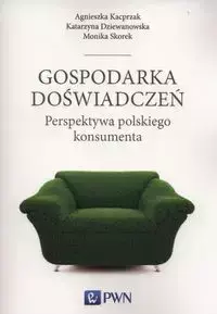 Gospodarka doświadczeń - Agnieszka Kacprzak, Katarzyna Dziewanowska, Monika Skorek