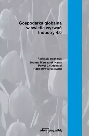 Gospodarka globalna w świetle wyzwań - Joanna Marszałek-Kawa, Paweł Chudziński, Radosław