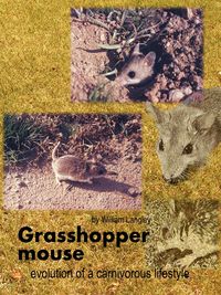 Grasshopper Mouse - William Langley