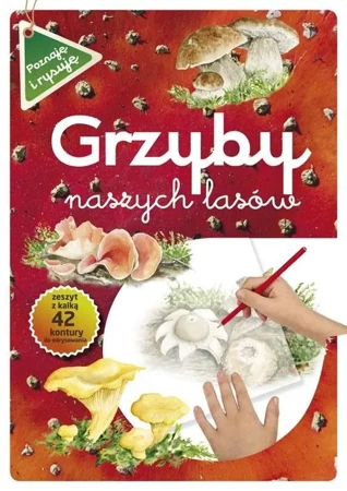 Grzyby naszych lasów - Katarzyna Kopiec-Sekieta