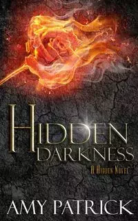 Hidden Darkness, Book 4 of the Hidden Saga - Patrick Amy