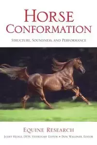 Horse Conformation - Equine Research