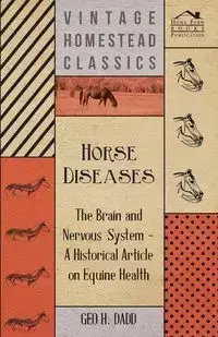 Horse Diseases - The Brain and Nervous System - A Historical Article on Equine Health - Dadd Geo H