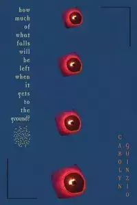 How Much Of What Falls Will Be Left When It Gets To The Ground? - Carolyn Guinzio