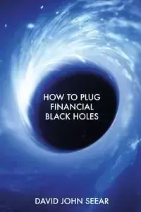 How to Plug Financial Black Holes - David John Seear