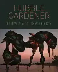 Hubble Gardener - Dwibedy Biswamit