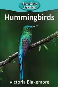 Hummingbirds - Victoria Blakemore